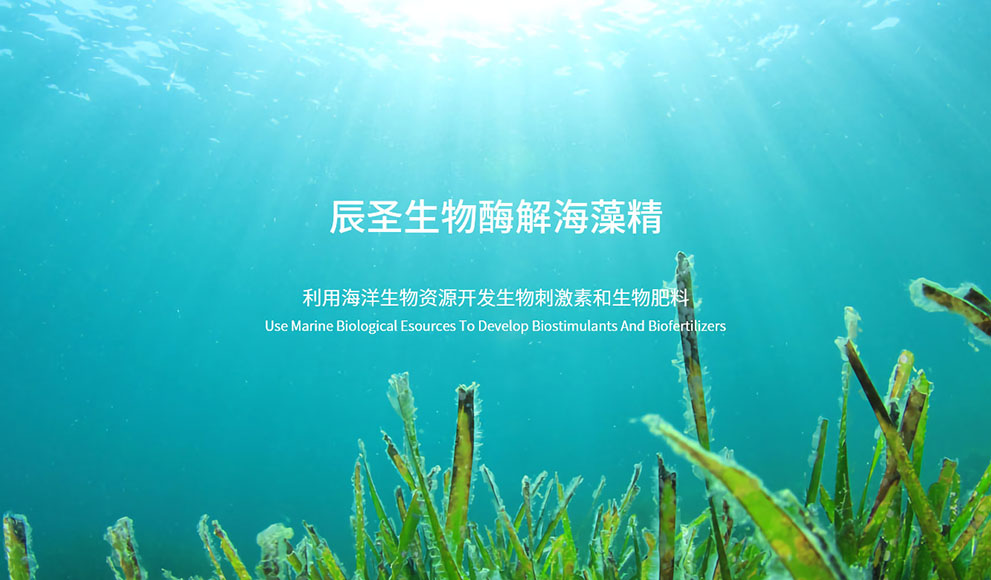 Qingdao TrustAgri Biotechnology co., Ltd
